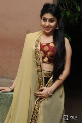 Hamida Khatoon at Sahasam Seyara Dimbaca Audio Launch